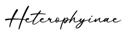 单词Heterophyinae书写