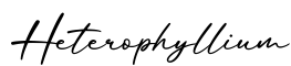 单词Heterophyllium书写