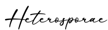 单词Heterosporae书写