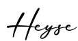 单词Heyse书写