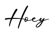 单词Hoey书写