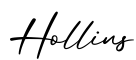 单词Hollins书写