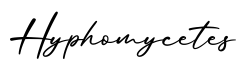 单词Hyphomycetes书写