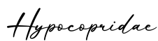 单词Hypocopridae书写