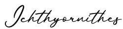单词Ichthyornithes书写