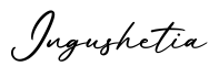单词Ingushetia书写