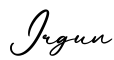 单词Irgun书写