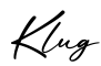 单词Klug书写