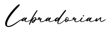单词Labradorian书写