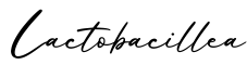 单词Lactobacillea书写