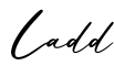单词Ladd书写
