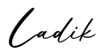 单词Ladik书写