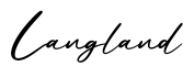 单词Langland书写