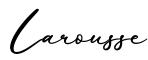 单词Larousse书写