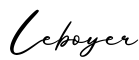 单词Leboyer书写