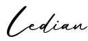 单词Ledian书写