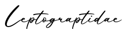 单词Leptograptidae书写