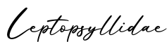 单词Leptopsyllidae书写