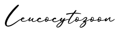 单词Leucocytozoon书写