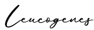 单词Leucogenes书写