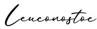 单词Leuconostoc书写