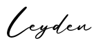 单词Leyden书写