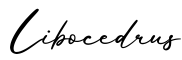 单词Libocedrus书写