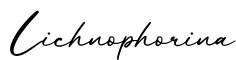 单词Lichnophorina书写