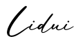 单词Lidui书写