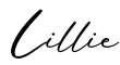 单词Lillie书写
