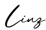 单词Linz书写