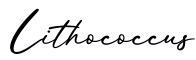 单词Lithococcus书写