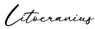 单词Litocranius书写