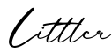 单词Littler书写