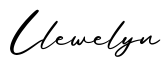 单词Llewelyn书写