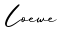 单词Loewe书写