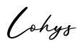 单词Lohys书写