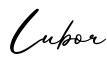 单词Lubor书写