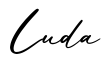 单词Luda书写