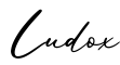 单词Ludox书写