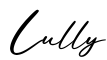 单词Lully书写