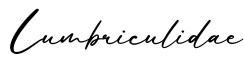 单词Lumbriculidae书写