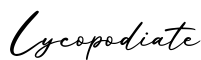 单词Lycopodiate书写