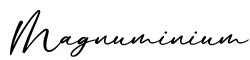 单词Magnuminium书写