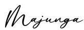 单词Majunga书写