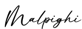 单词Malpighi书写
