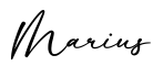 单词Marius书写