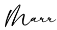 单词Marr书写
