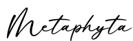 单词Metaphyta书写