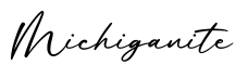 单词Michiganite书写